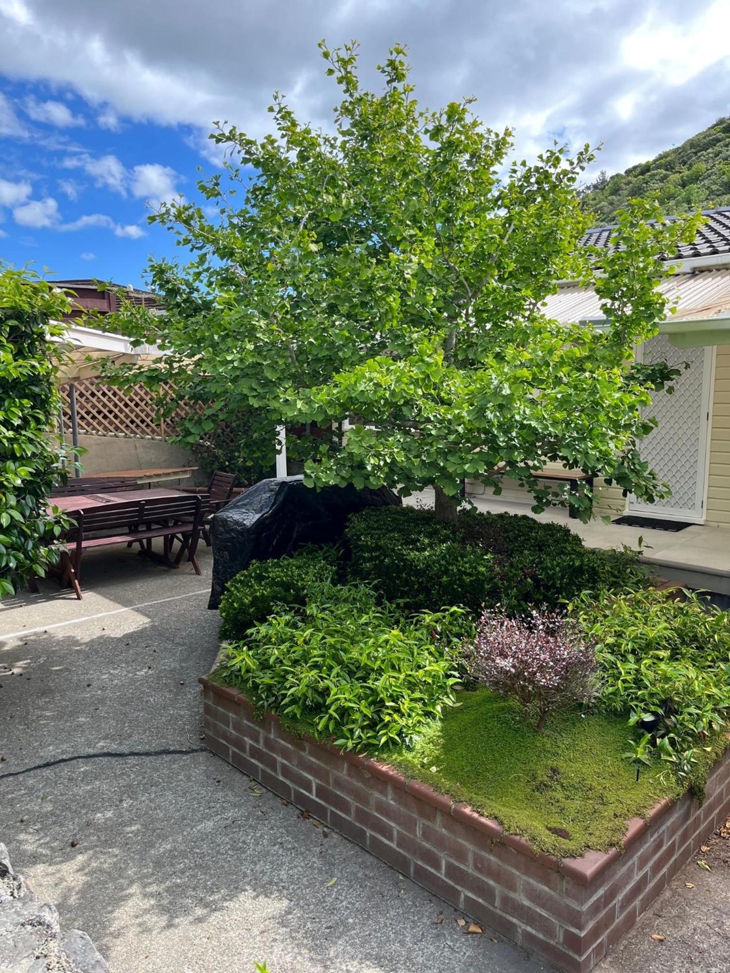 Retro 4 Bedroom Home, Warm And Welcoming, Quiet Location Porirua Exteriör bild